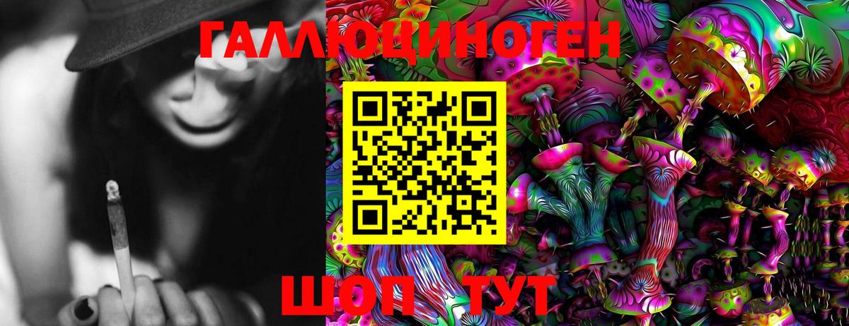 Галлюциногенные грибы Cubensis  Вход с VPN  Вязники 