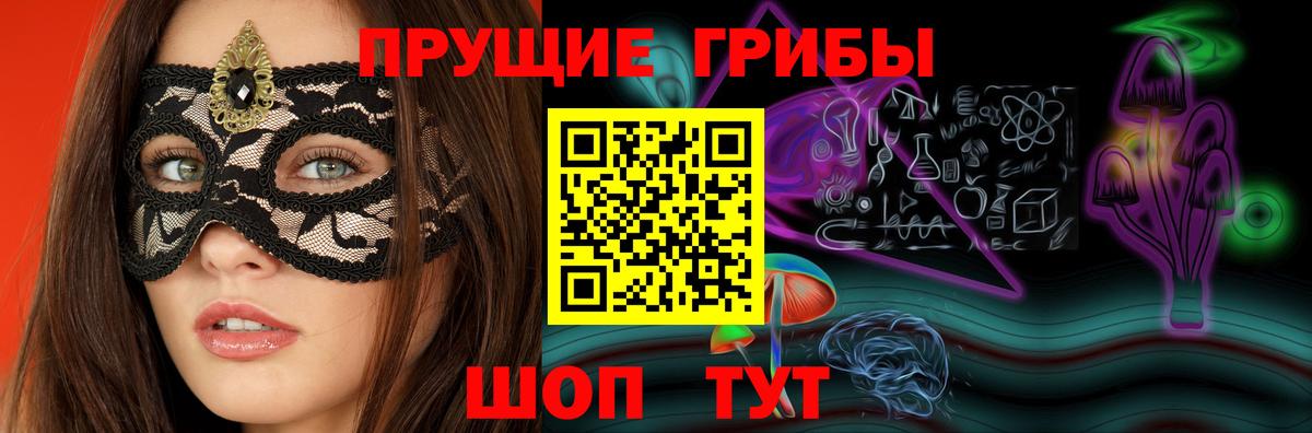 Псилоцибиновые грибы Psilocybe Вязники